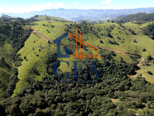 #CFA010 - Terreno para Venda em Itapeva - MG - 2