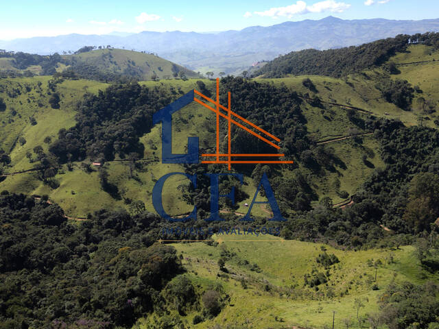 #CFA010 - Terreno para Venda em Itapeva - MG - 3