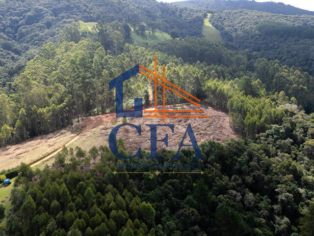 #CFA011 - Terreno para Venda em Camanducaia - MG - 1